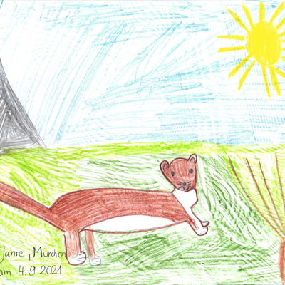 Bild vergrößern: Wildtierschutzkampagne_Kinder_Bilder
